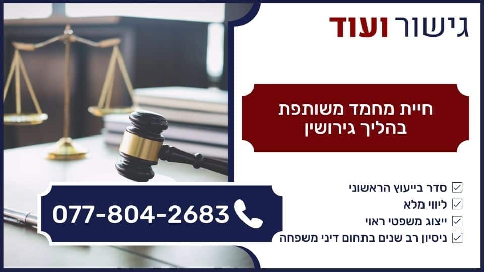 חיית מחמד משותפת בהליך גירושין